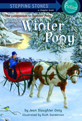 Winter Pony cover