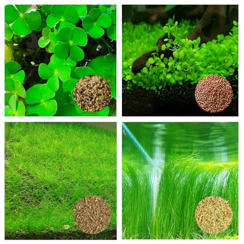 4 Pack Aquarium Plant S.e.e.d Set, not Artificial...