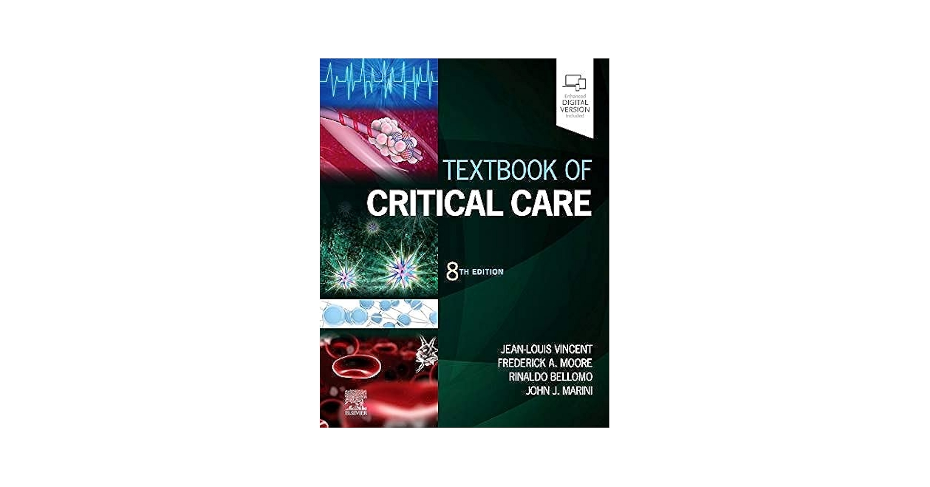 Intensive Care Medicine: Annual Update 2010 [ハードカバー] Vincent， Jean-Louis 978-3-642-00418-6