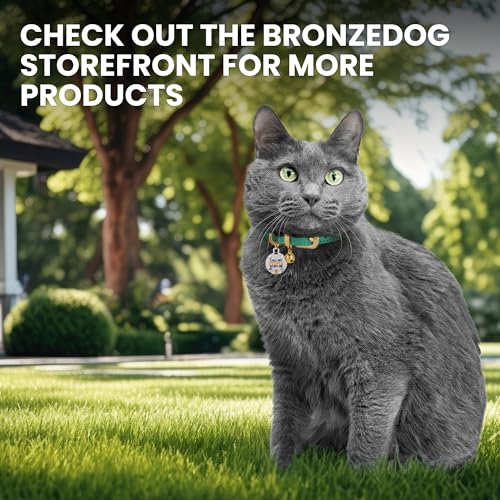BRONZEDOG Katzenhalsband aus Leder mit Glöckchen, Nicht abreißbar, QR-Tag für Mädchen und Jungen (Hellbraun und Gold, 18-23 cm)