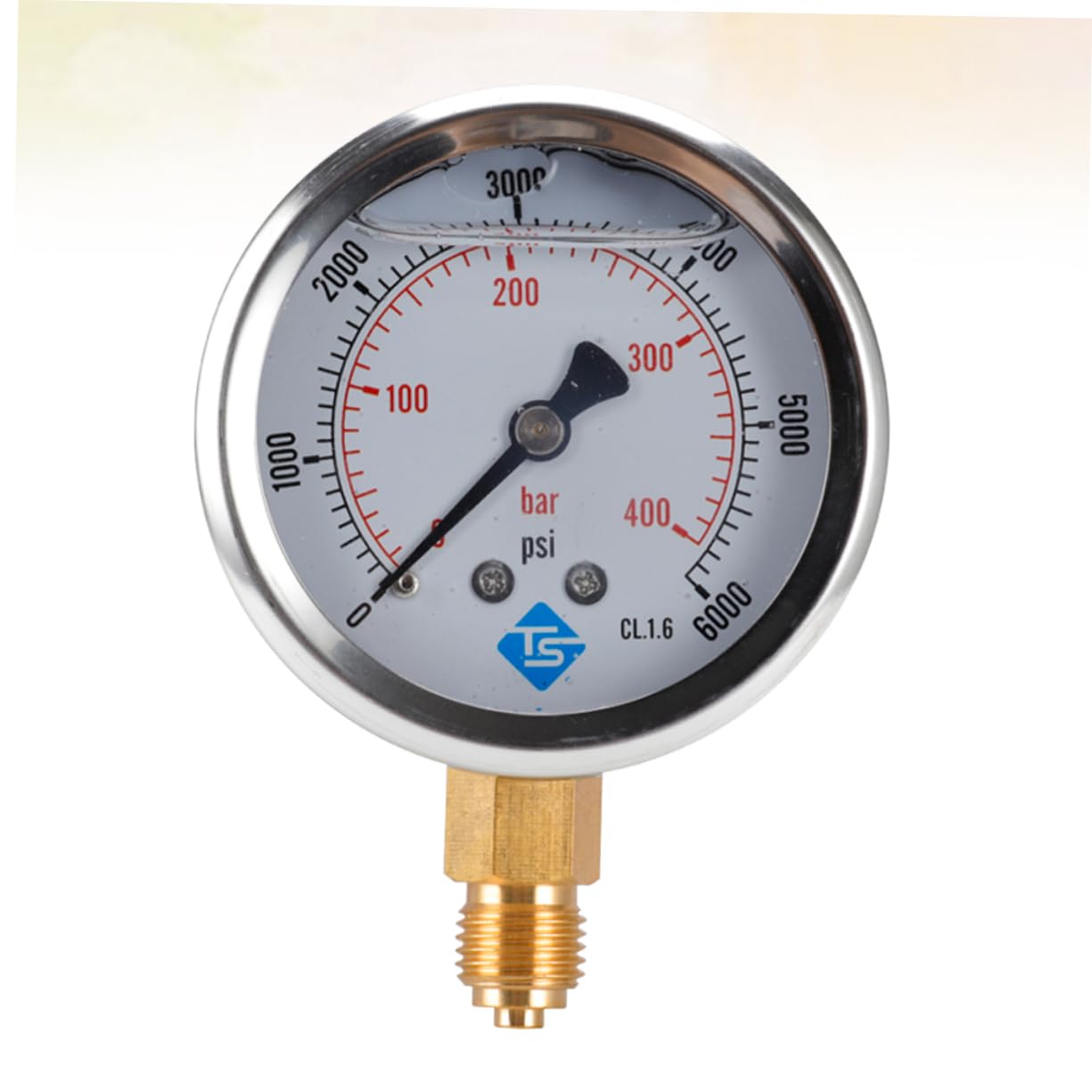 Manometro Acqua Y60 Manometro Radiale per lubrificazione 604 Manometro Precision Suite Riempito d'olio