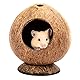 QMAAAYS Hamsterhaus, Kokosnussschalen-Vogelhaus, Lebensraum für kleine Haustiere, tropischer Stil, 12 x 12 x 13,5 cm