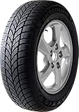 Nasshaftung: C Maxxis WP-05 FSL M+S - 185/50R16 81V - Winterreifen