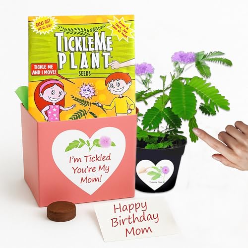 Birthday Gift for Mom &ndash; TickleMe Plant that Moves When Touched &ndash; Adult Plants Can Produce Pink...