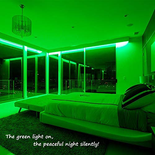 image for Areful Green Rope Lights,16ft Waterproof, Connectable and Flexible LED