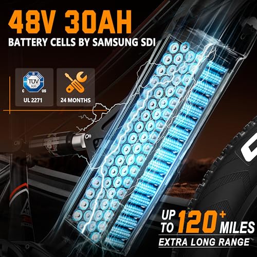 Folding Electric Bike for Adults