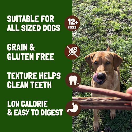 Ostrich Meat Sticks Dog Treats - 100% Natural & Gently Air-Dried, Puppy Treats, Hypoallergenic Dog Treats, Natural Dog Treats, High in Lean Protein & Low in Fat, 50g - Image 3