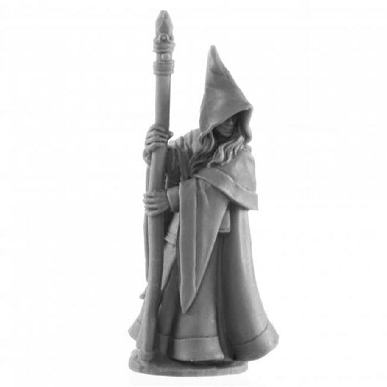 Dark Heaven Legends Anirion Elf Wizard Miniature Figure 25mm Heroic Scale Reaper Bones USA Reaper Miniatures