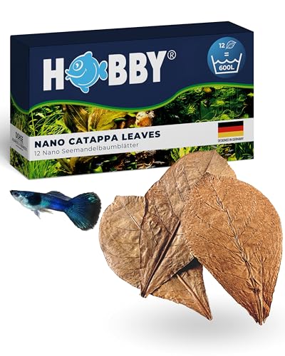 HOBBY Aquaristik Nano Catappa Leaves I 12 Stück I Nano-Seemandelbaumblätter für Aquarien I fördert Vitalität und Wohlbefinden von Fischen und Garnelen I natürlicher Wasserzusatz für Süßwasseraquarien