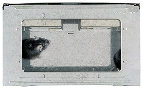 Itrap Itrap-002-S4-3Pk Multi-Catch Clear Top Humane Repeater Mouse Trap, Set Of 3 #TOP4