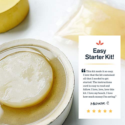 The Kombucha Shop Shark Tank Update After the Show Season 10 (2024