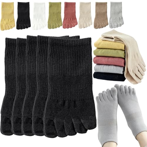 [AQZXA] ܖ{w\bNX fB[X t TZbg T{wC Ԃ C p ʋC     z hۖhL X|[c jO ^ ʋ ʊw  wl 22cm-24cm (ubN*5)