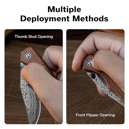 Image of CIVIVI Clingman EDC Pocket Folding Knife with Titanium Reversible Clip, 2.99 inch Damascus Blade Wood Handle Liner Lock Knife, Gift for Men Women C23065B-DS1