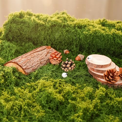 Bupelo Fake Moss Rug Artificial Moss 19.7 x 39.4 Faux Moss for Crafts Like Fairy Garden Accessories Plants Indoor DIY Enchanted Forest Decor Wedding Table Runner Party Decorations (50x100cm)