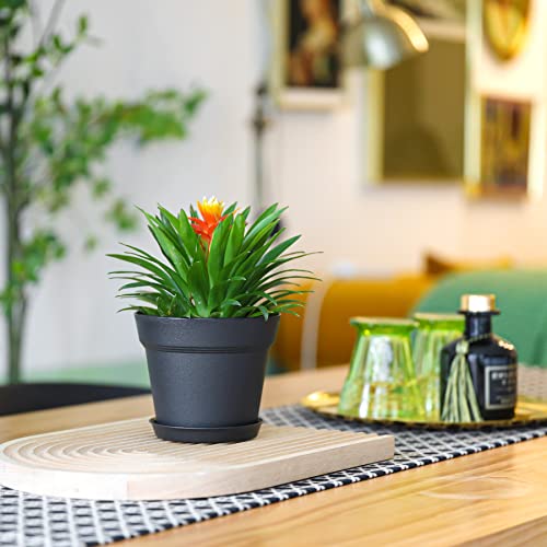 T4U 4 Inch Plant Pots 18-Pack - Small Plastic Planter With Drainage Hole And Saucer, Decorative Nursery Pot Bulk For African Violet, Snake Plant, Succulent And All House Plants Indoor (Black) #TOP1