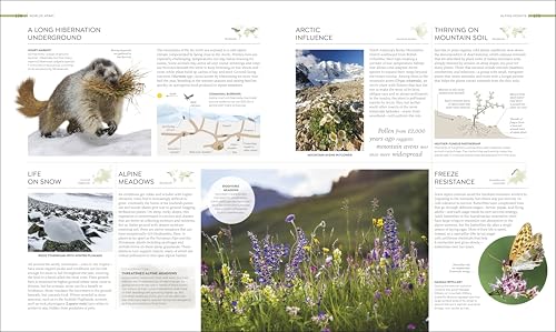 Habitats: Discover Earth's Precious Wild Places - Image 6