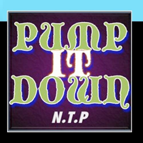 PUMP IT DOWN [Feat.mcKY] / N.T.P