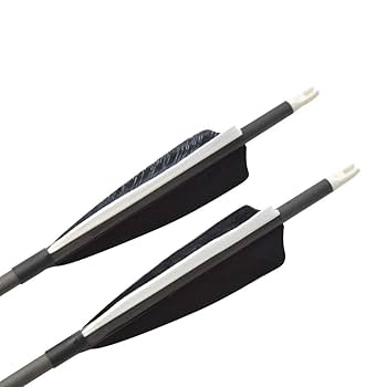 Amazon.co.jp: NMCPY 35インチ スパイン500 混合炭素矢 弓矢