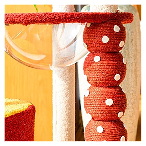 Arbre à chat avec litière intégrée et capsule transparente en bois - 3