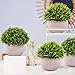 CEWOR 4 Packs Artificial Potted Plants Bathroom Fake Shelf Plant Office Table Decor Mini Green Faux Topiary Kitchen Cabinet Farmhouse Decorations