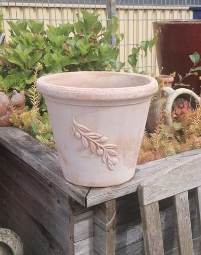 NEU !! Italienischer Blumentopf mit Olivenzweig echt Terrakotta Durchmesser ca. 30 cm, Blumenkübel für Garten und Wohnung Terracotta, kein Kunststoff, Pflanzgefäß Garten Sommer Terrasse Balkon Deko