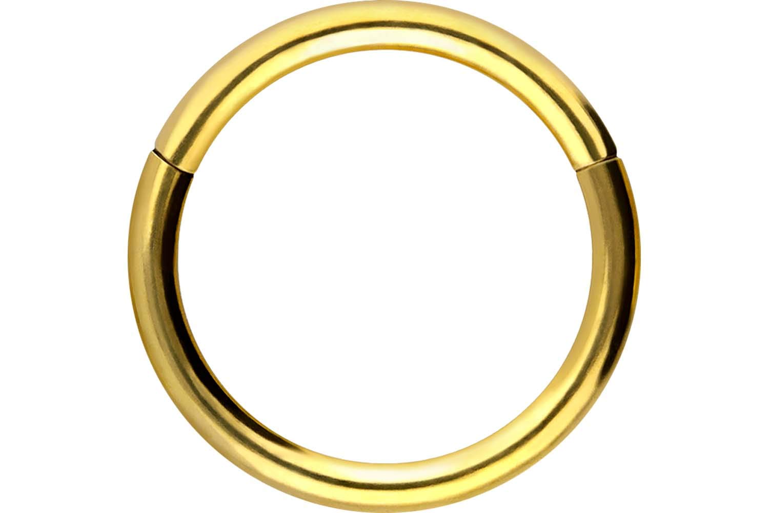 PIERCINGLINE Anillo segmento Clicker de acero quirúrgico – Piercing en oro, plata, rosa, negro o azul – para nariz, tabique, oreja, hélice o tragus — view 76