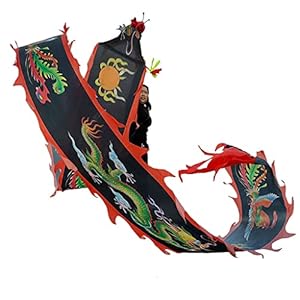 Schudden Poi Dragon Dance Lint Fitness Dragon Dance Lint Streamer voor Outdoor Lente Uitje Achtertuin Spelen Glasvezel…