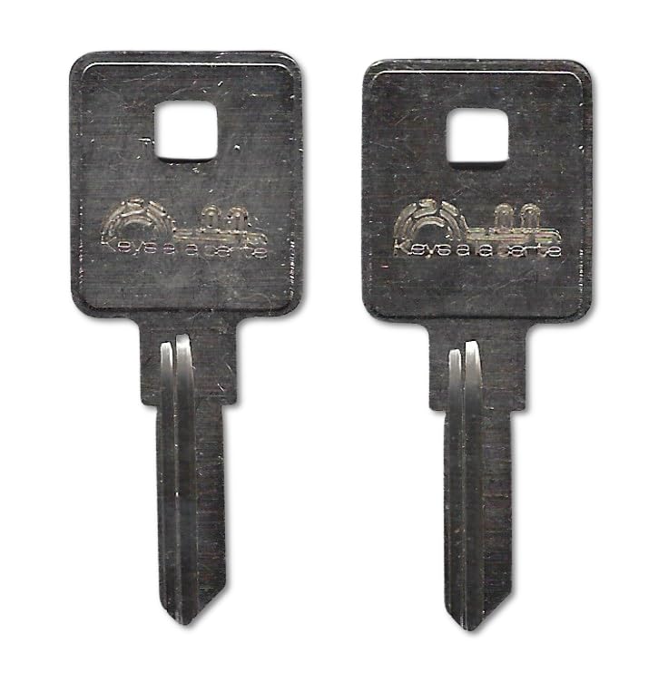 【key-bee 】WorksAlex Elmsley1&2 107 Replacement Key – KEYSALACARTE for Trimark Locks Cut on TM1