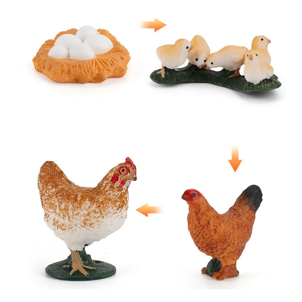Buy 4PCS Farm Animals Figurines Life Cycle of Chicken Rooster Food