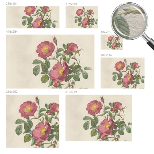 Papier peint décoratif facile à nettoyer avec impression haute qualité