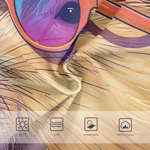 ODAWA Capybara Rainbow Funny Tag Free Toddler Cotton Underwear, 2T Underwear3