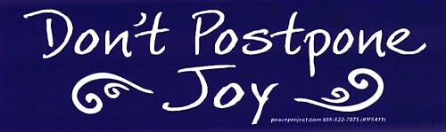 Calcomanía para botella de agua con texto en inglés Don't Postpong de alegría espiritual para parachoques de automóvil, para ventana, 6.75 x 2