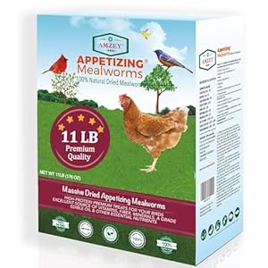 Amzey Dried Mealworms 11 LBS – 100% Natural for Chicken Feed, Bird Food, Fish Food, Turtle Food, Duck Food, Reptile Food, Non-GMO, No Preservatives, High Protein and Nutrition