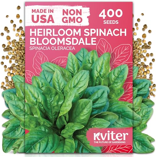 KVITER 400 Bloomsdale Spinach Seeds (Spinacia oleracea) Non-GMO & Heirloom Heat Tolerant Cut and Come Again Spinach Vegetable Seeds for Planting in Outdoor & Indoor Garden Containers