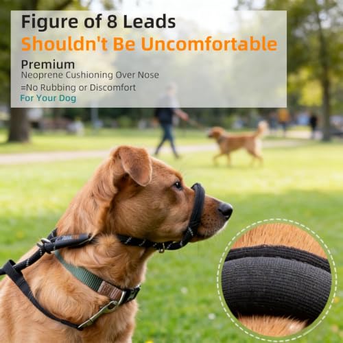 Image of Figure 8 Dog Lead for No Pull Training, Padded Nose Loop, 1.8m