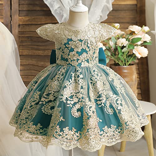TTYAOVO Baby Girls Flower Dress Birthday Princess Party Lace Outfits3