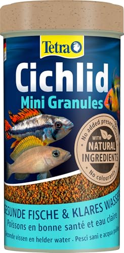 Tetra Mini Cichlid Granules - Miscela di cibo principale con 2 diversi mini granuli per piccoli ciclidi, lattina da 250 ml