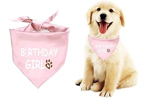 Engraved Dog Birthday Bandana, Personalized Pet Bandana for Birthday Boy or Girl