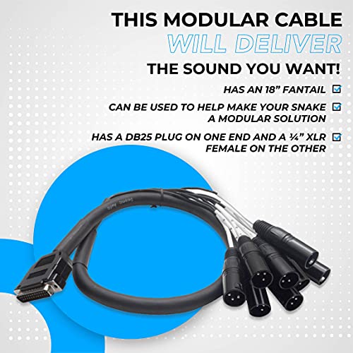 Seismic Audio Speakers Db25 To 8 Channel ¼” Xlr Male 3 Foot D-Sub Snake Cable, Patchbay Interface Modular Cable #TOP3