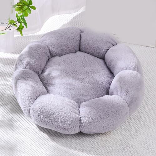 [ADSNS] ybgxbh ybgnEX LQ NbV J[1 ی^ Ԍ^ ~ Lpxbh L ^ Lxbh nEX ybgxbg ӂӂ  ΍ 􂦂 