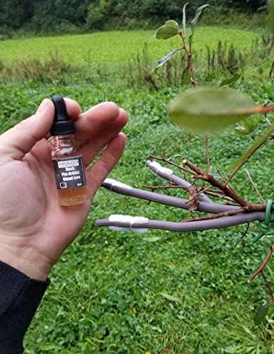 Hightower Products Smokey's 4 Buck Compound Pre-Orbital Gland Lure