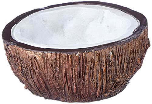Exo Terra Tiki Bol à Eau Noix de Coco