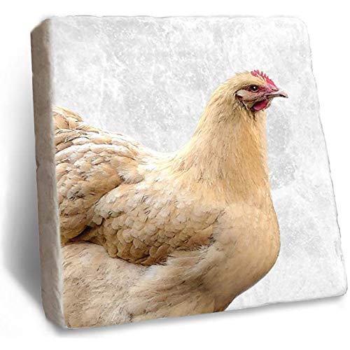 Chicken Coaster - Rustic Marble Coaster by Stone Rebellion (Chicken)