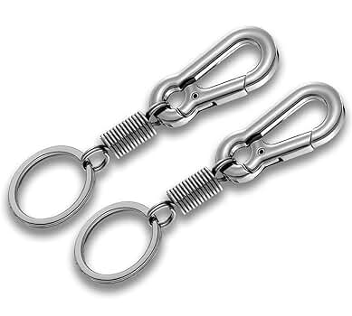KWTORFIA 2Pcs Spring Shaped Keychain,Carabiner Shape Zinc