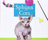 Photo Gallery sphynx cats Photo Gallery sphynx cats