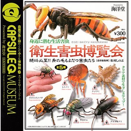 Amazon.co.jp: カプセルQミュージアム 身近に潜む生活害虫 衛生
