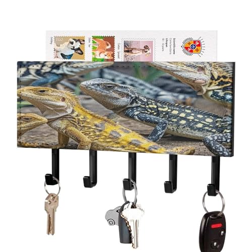 FekiLoot Different Types of Lizard Key Holder Wall Mounted Key