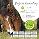 PHA Basis MineralPlus Liquid für Pferde – Wertvolle Vitamine & Mineralstoffe für Hufe, Muskeln & Immunsystem, für den täglichen Nährstoffbedarf, 1L
