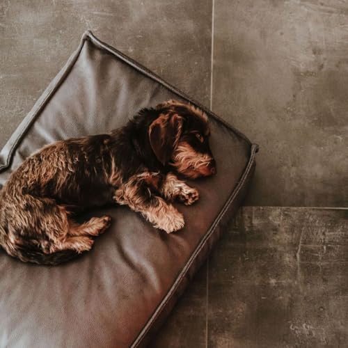 HUNTER Orthopädisches/Ergonomisches Hundekissen Merida Farbe anthrazit, Größe M