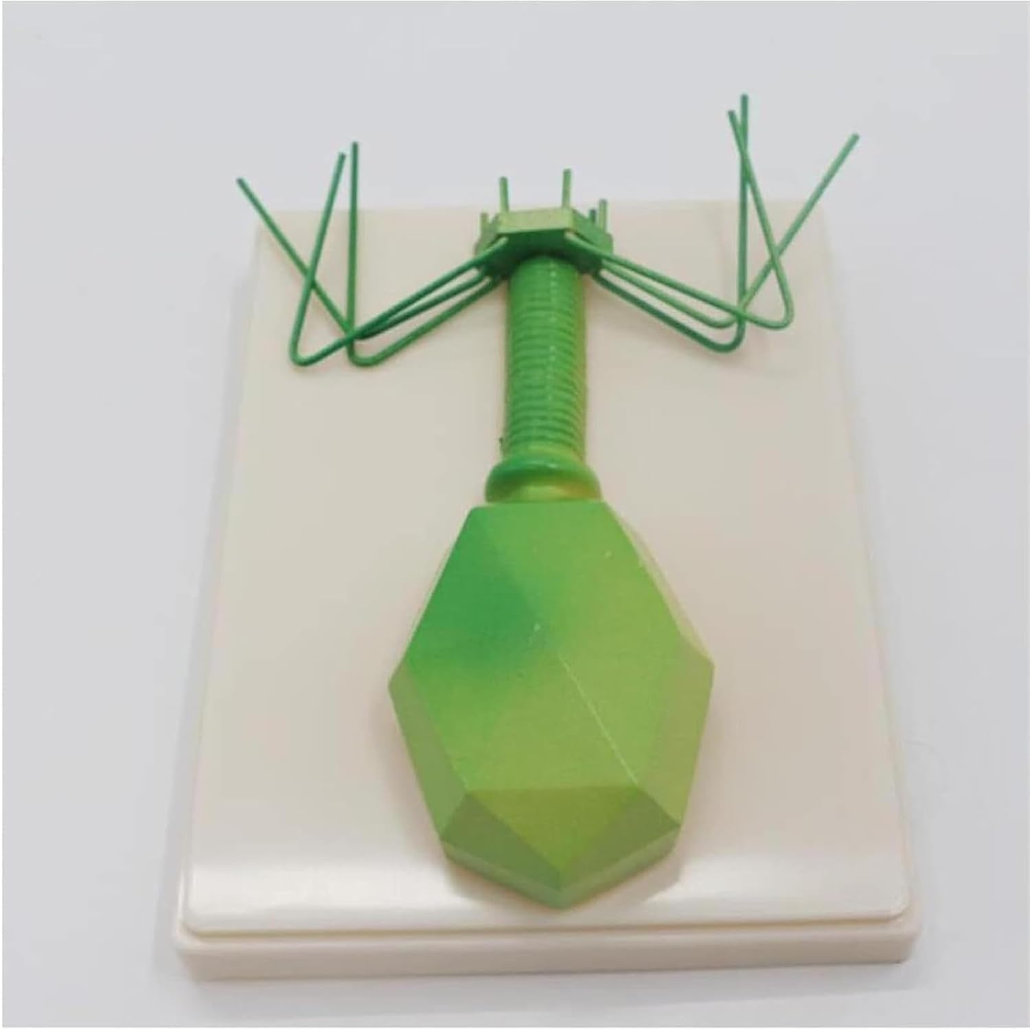 Anatomisches Modell des Phagenvirus, biologisches Phagenvirus-Strukturvergrößerungsmodell, Biologie-Lehrmittel for die Mittelschule, for die Anzeige von Studien im naturwissenschaftlichen